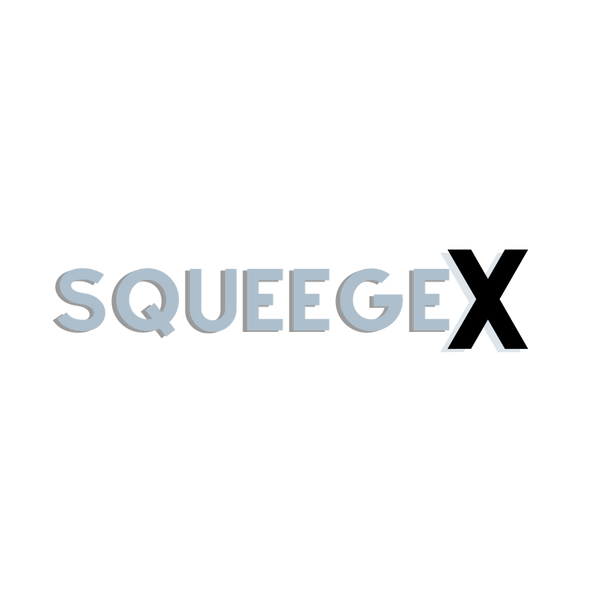 SqueegeX
